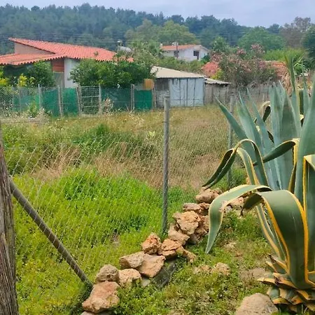 Luxury In Front Of The Sea Near Olympia Katakolo